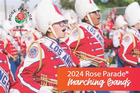 Marching Powder 2025